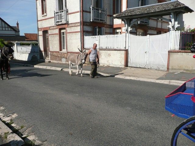 dimanche (86).jpg